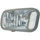 Purchase Top-Quality Passenger Side Fog Lamp Lens/Housing by EAGLE EYES LIGHTS - CS308-B000R pa1