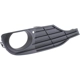 Purchase Top-Quality Passenger Side Front Bumper Insert - BM1039121 pa5