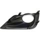 Purchase Top-Quality Passenger Side Front Bumper Insert by DEPO - 315-2507R-UD pa2