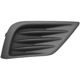 Purchase Top-Quality SHERMAN PARTS - 1614B-95Q-2 - Front Passenger Side Fog Light Cover pa1