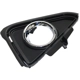 Purchase Top-Quality Passenger Side Front Bumper Insert by SHERMAN PARTS - LXNX3015A-95-2 pa3