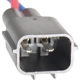 Purchase Top-Quality Passenger Side Front Door Glass Regulator - FO1351130 pa4