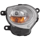 Purchase Top-Quality Passenger Side Front Signal Lamp Lens/Housing - FI2533100C pa12