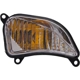 Purchase Top-Quality Passenger Side Front Signal Lamp - TO2531151 pa2