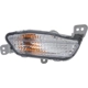 Purchase Top-Quality Passenger Side Front Signal Lamp - HO2531136 pa1