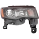 Purchase Top-Quality Passenger Side Headlamp Assembly Composite by DEPO - 333-1199R-AC2 pa1