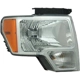 Purchase Top-Quality Passenger Side Headlamp Assembly Composite - FO2503287C pa2