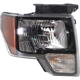 Purchase Top-Quality Passenger Side Headlamp Assembly Composite - FO2503289C pa4