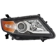 Purchase Top-Quality Passenger Side Headlamp Assembly Composite - HO2503159 pa2