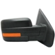 Purchase Top-Quality Passenger Side Outside Rear View Mirror - FO1321413 pa1