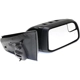 Purchase Top-Quality Passenger Side Outside Rear View Mirror by SHERMAN PARTS - 411A-300R pa2