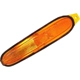 Purchase Top-Quality Passenger Side Parklamp Assembly - CH2521133 pa1