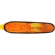 Purchase Top-Quality Passenger Side Parklamp Assembly - CH2521133 pa4