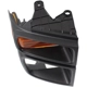 Purchase Top-Quality Passenger Side Parklamp Lens - FO2525103C pa6