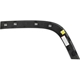 Purchase Top-Quality Passenger Side Rear Wheel Opening Molding - CH1791109C pa2
