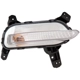 Purchase Top-Quality Passenger Side Repeater Lamp by DEPO - 323-1605R-AC pa1