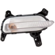 Purchase Top-Quality Passenger Side Repeater Lamp by DEPO - 323-1605R-AS pa1