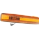Purchase Top-Quality Lampe de répétition côté passager - BM2571119 pa4
