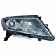 Purchase Top-Quality Passenger Side Replacement Headlight (Brand New OE) - NI2503221OE pa1