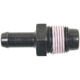 Purchase Top-Quality BLUE STREAK (HYGRADE MOTOR) - V428 - Vanne PCV pa6