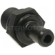 Purchase Top-Quality PCV Valve by BLUE STREAK (HYGRADE MOTOR) - V528 pa1
