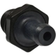 Purchase Top-Quality BWD AUTOMOTIVE - PCV722 - PCV Valve pa2