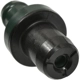 Purchase Top-Quality STANDARD - PRO SERIES - V555 - PCV Valve pa2