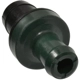 Purchase Top-Quality STANDARD - PRO SERIES - V555 - PCV Valve pa3