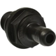 Purchase Top-Quality PCV Valve by STANDARD - PRO SERIES - V594 pa3