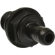 Purchase Top-Quality STANDARD - PRO SERIES - V594 - PCV Valve pa3