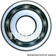 Purchase Top-Quality Pilot Bearing by NATIONAL BEARINGS - 203S pa2