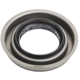 Purchase Top-Quality NATIONAL OIL SEALS - 100715V - Differential Pinion Seal pa1