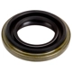 Purchase Top-Quality NATIONAL OIL SEALS - 4244 - Differential Pinion Seal pa1
