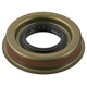 Purchase Top-Quality NATIONAL OIL SEALS - 710461 - Differential Pinion Seal pa1