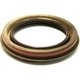 Purchase Top-Quality SKF - 15566 - Front Inner Differential Pinion Seal pa1