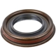 Purchase Top-Quality SKF - 18764A - Differential Pinion Seal pa1