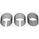 Purchase Top-Quality SEALED POWER - E1006KC.25MM - Piston Ring Set pa1