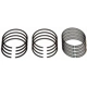 Purchase Top-Quality Piston Ring Set by SEALED POWER - E1019KC pa1