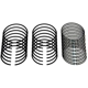 Purchase Top-Quality Piston Ring Set by SEALED POWER - E248X pa1