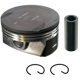 Purchase Top-Quality SEALED POWER - H1522CPA50MM - Piston Set pa1