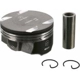 Purchase Top-Quality Piston (Pack of 8) by SEALED POWER - H1523CPA50MM pa2