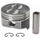 Purchase Top-Quality Piston (Pack of 8) by SEALED POWER - H273CP pa2