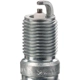 Purchase Top-Quality CHAMPION SPARK PLUG - 3013 - Platinum Plug pa5