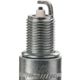 Purchase Top-Quality Platinum Plug by CHAMPION SPARK PLUG - 3031 pa5
