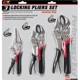 Purchase Top-Quality Pliers Set by PERFORMANCE TOOL - W30713 pa2