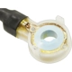 Purchase Top-Quality Power Door Lock Switch by BLUE STREAK (HYGRADE MOTOR) - DS3078 pa3