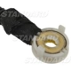 Purchase Top-Quality Power Door Lock Switch by BLUE STREAK (HYGRADE MOTOR) - PDS205 pa1