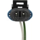 Purchase Top-Quality Power Door Lock Switch by BLUE STREAK (HYGRADE MOTOR) - PDS205 pa3