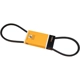 Purchase Top-Quality CONTINENTAL - 10X1025 - V-Courroie pa1