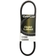 Purchase Top-Quality Power Steering Belt by DAYCO - 17260 pa9